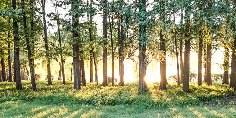 地板顏色該怎么選擇？南潯實(shí)木地板廠(chǎng)家來(lái)教你